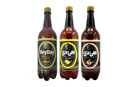 دلستر خانواده